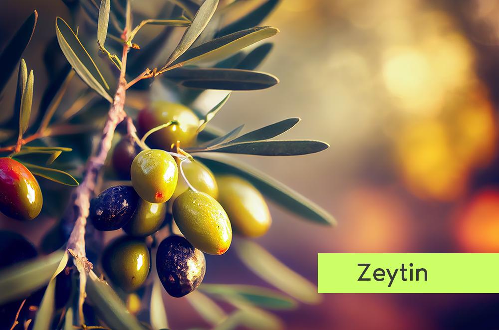 zeytin